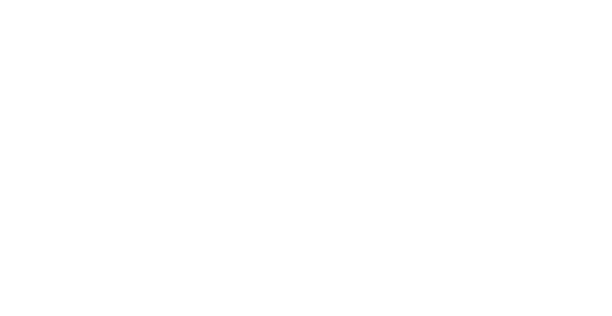 \i